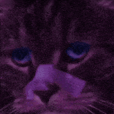 Sad Cat Bladerunner GIF