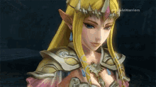 Zelda Hyrulewarriors GIF - Zelda Hyrulewarriors GIFs