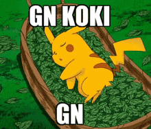 Gn Koki Koki GIF - Gn Koki Koki Gn Koki Gn GIFs