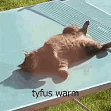 Tyfus Warm GIF - Tyfus Warm GIFs