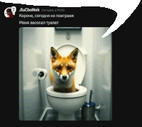 a picture of a fox sitting in a toilet with a speech bubble above it