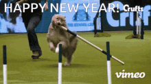Crufts Happy New Year GIF - Crufts Happy New Year Happy New GIFs