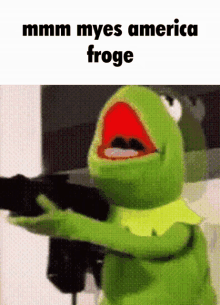 Froge Mmm Myes America Froge GIF - Froge Mmm Myes America Froge Frog GIFs