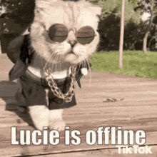 Lucie Is Offline Lucie GIF - Lucie Is Offline Lucie Lucie Gang GIFs