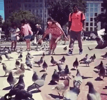 a woman in a striped dress is surrounded by pigeons and a man in an orange shirt that says calvin klein