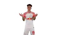 a soccer player wearing a white jersey with red bulls on it