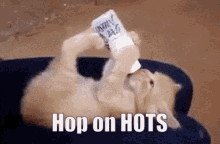 Hop On Hots Milk GIF - Hop On Hots Hop On Milk GIFs