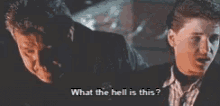 What The Hell GIF - What The Hell GIFs