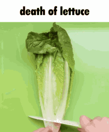 Death Of GIF - Death Of Lettuce GIFs