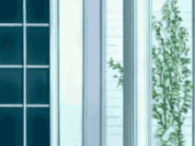 a close up of a window with a plant in front of it