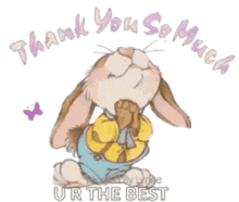 yay oh cute rabbit thankyousomuch