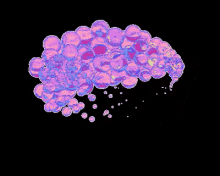 Pink Bubbles On Black Background GIF - Bubbles Pinkbubbles GIFs