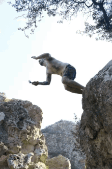 rock jump cliff diving adrenaline rush adrenaline junkie