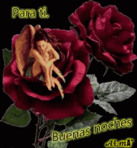 Red Roses Para Ti GIF - Red Roses Para Ti Buenas Noches - Discover & Share  GIFs