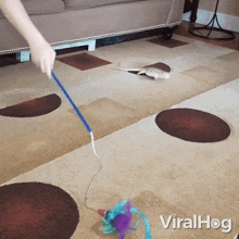 GIF