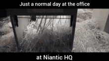 nitanic niantic pokemon pok%C3%A9mon
