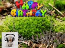 Happy Birthday Birthday GIF - Happy Birthday Birthday Moss GIFs