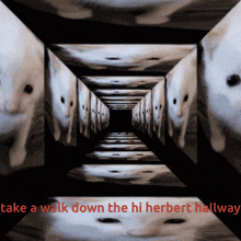 Take A Walk Down The Hi Herbert Hallway Cat GIF - Take A Walk Down The Hi Herbert Hallway Cat Explosion GIFs