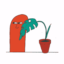 vegan plant