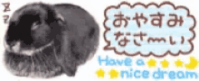 a black guinea pig is sleeping next to a speech bubble that says have a nice dream .