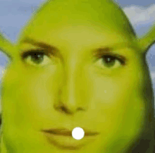 a close up of a woman 's face with shrek 's face on it .