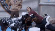 a man laughs while playing with two dogs in front of a sign that says new york police department