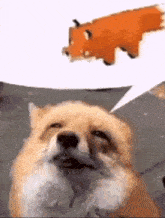 a dog is looking up at a stuffed fox with a speech bubble above its head .