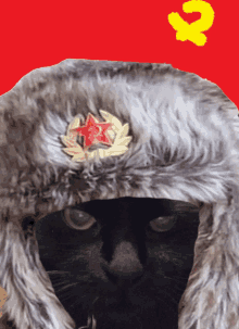 Cat Communist Communist Cat GIF - Cat Communist Communist Cat Cleo Da Commie GIFs