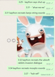 a screenshot of a text message with a picture of two rabbits