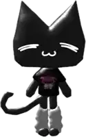 a black cat wearing a black shirt and white socks .