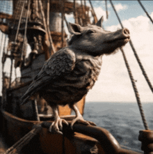 Boar Bird Bird Boar On A Boat GIF