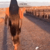 a woman with long black hair is walking down a brick walkway .