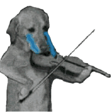 dog violin