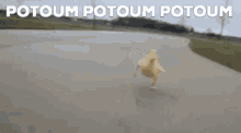 a duck is running down a road with the words potoum potoum potoum behind it