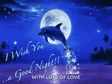 Good Night Moon Light GIF - Good Night Moon Light Dolphin GIFs