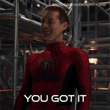 You Got It Peter Parker GIF - You Got It Peter Parker Spider Man GIFs