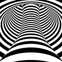 zebra black white hypnotise