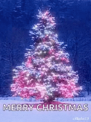 Merry Christmas Seasons Greetings GIF - Merry Christmas Seasons ...
