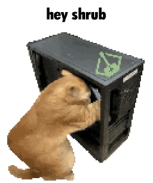 a pixelated image of a cat playing with a computer case that says hey shrub