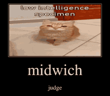 Midwich Midwich Oct GIF - Midwich Midwich Oct Oct GIFs