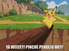 Pikachu Pokemon GIF - Pikachu Pokemon Pinche Pendejo Wey GIFs