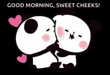 Couples Panda GIF - Couples Panda Love GIFs