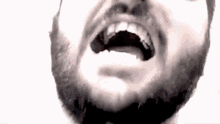 a close up of a man 's face with a beard and his mouth open .