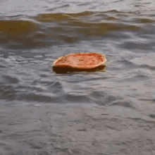 pizza water floating italy