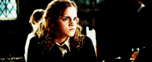Hermione Granger What Do You Think GIF - Hermione Granger What Do You Think Are You Kidding Me GIFs