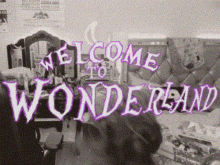 Moonstreuxx Welcome GIF - Moonstreuxx Welcome Wonderland GIFs