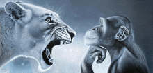 a lion and a chimpanzee are looking at each other in a drawing by a person