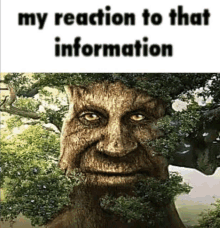 Mysterious Tree My Reaction To This Information GIF - Mysterious Tree My Reaction To This Information Reaction GIFs