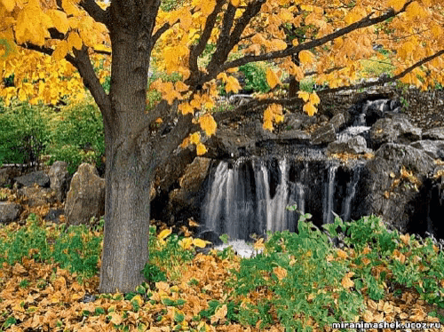 Spring Time Nature GIF - Spring Time Nature Falls - Discover & Share GIFs