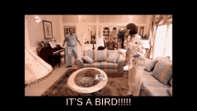 arrested development bluth buster its a bird i know its a bird im on the phone